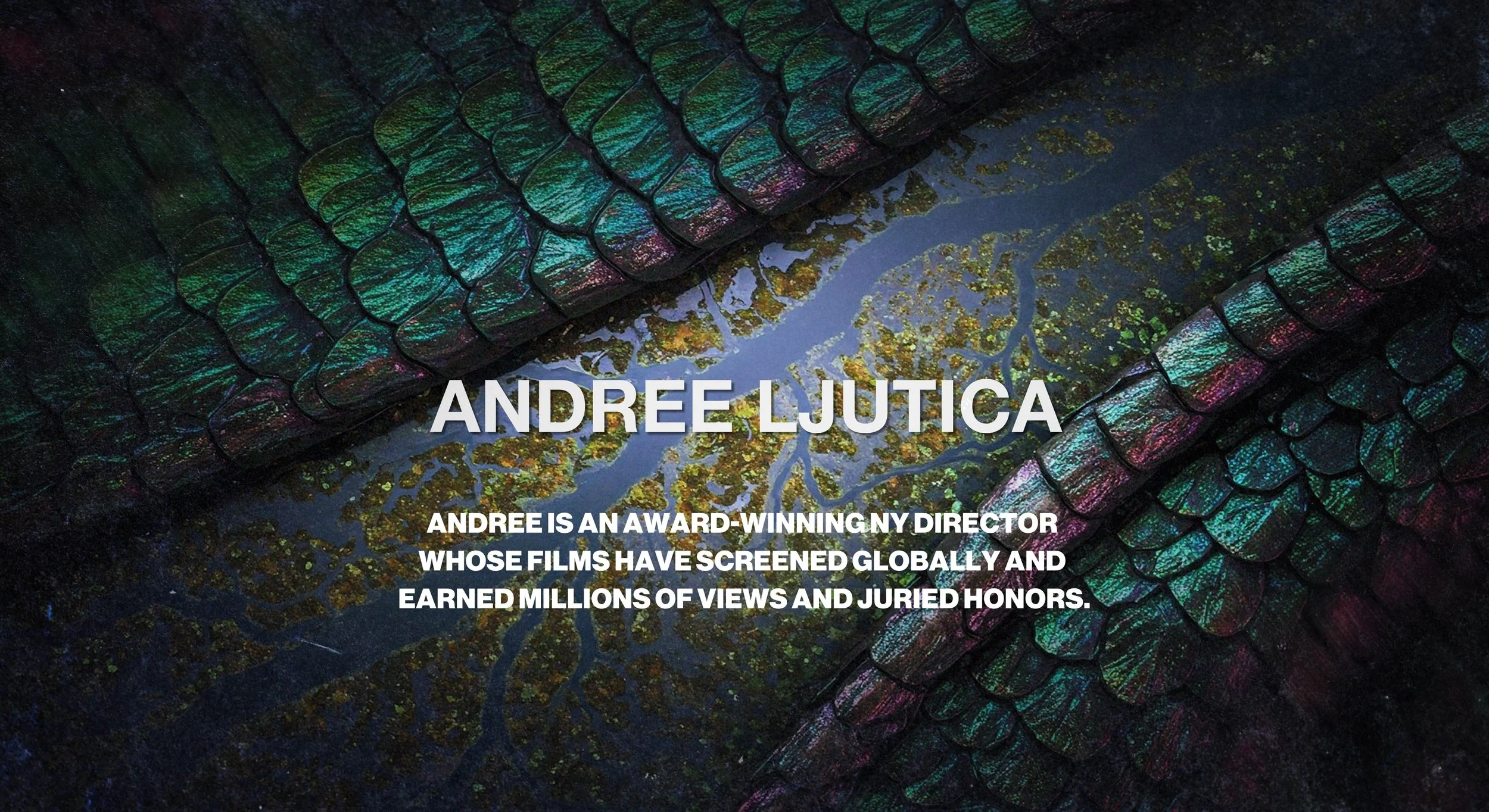 ANDREE LJUTICA | Writer Director