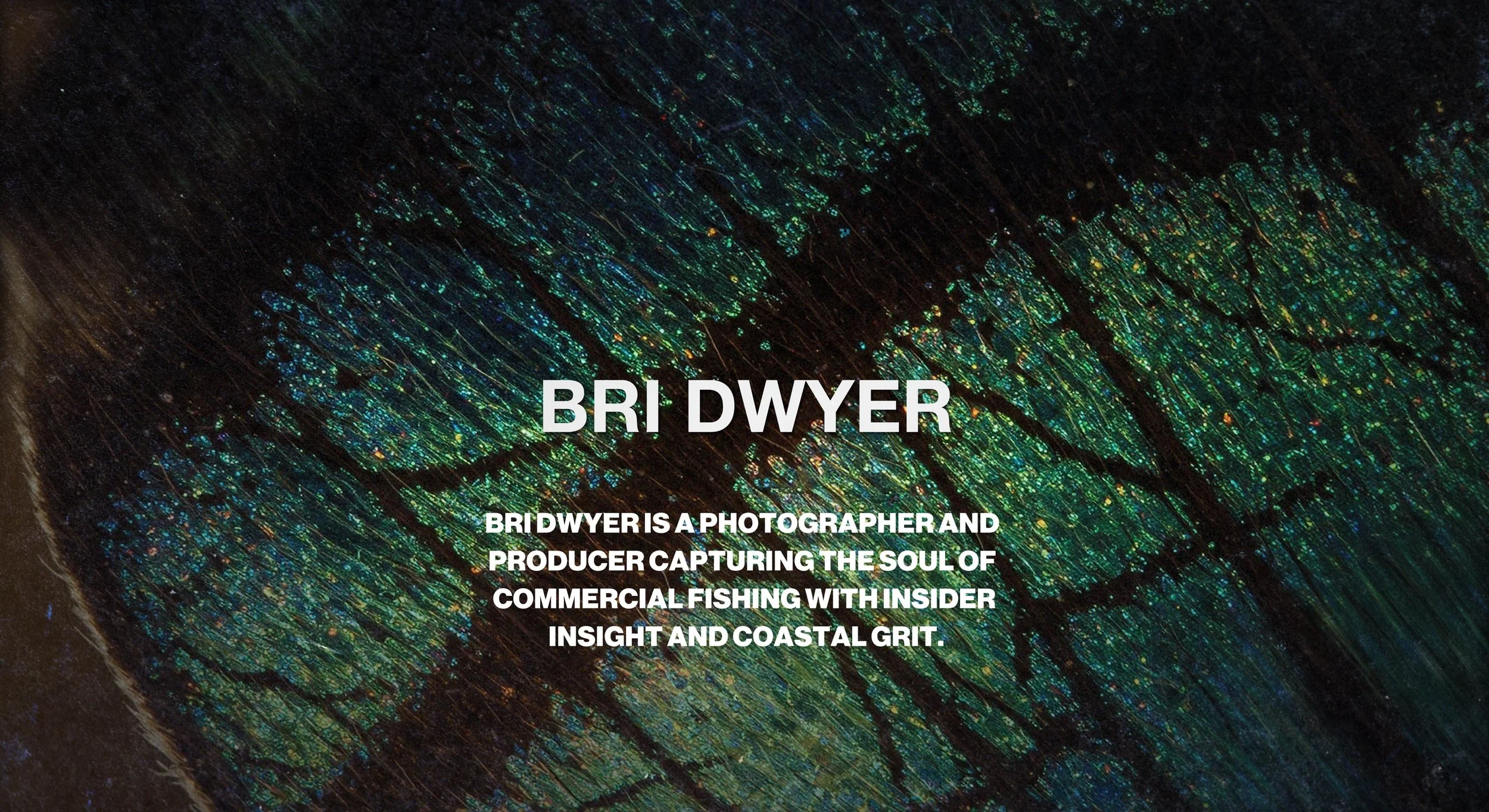 BRI DWYER | Director Photographer