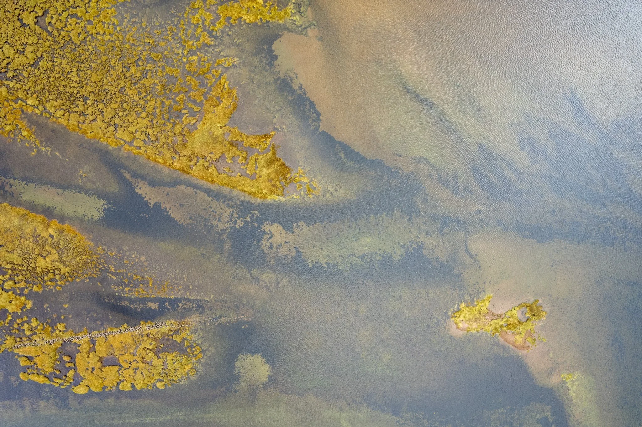 DJI_0129.jpg