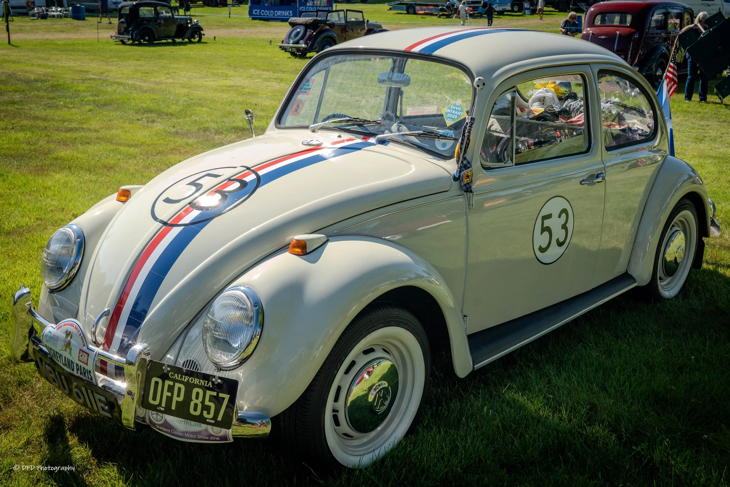 hERBIE-2.jpg