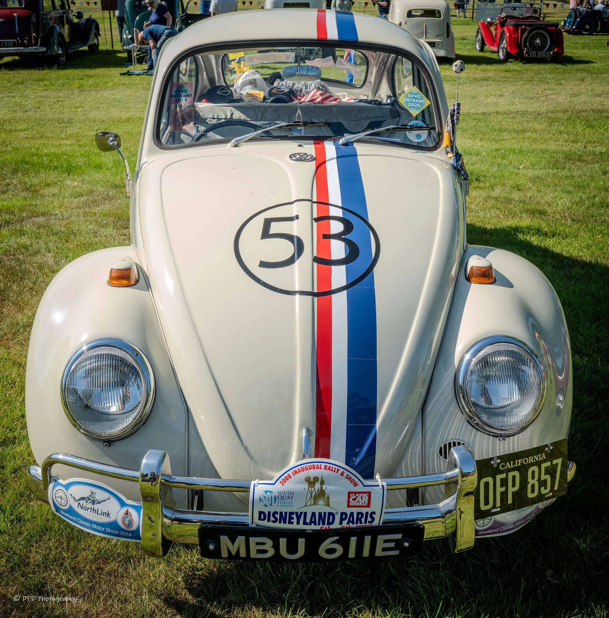 hERBIE-1.jpg