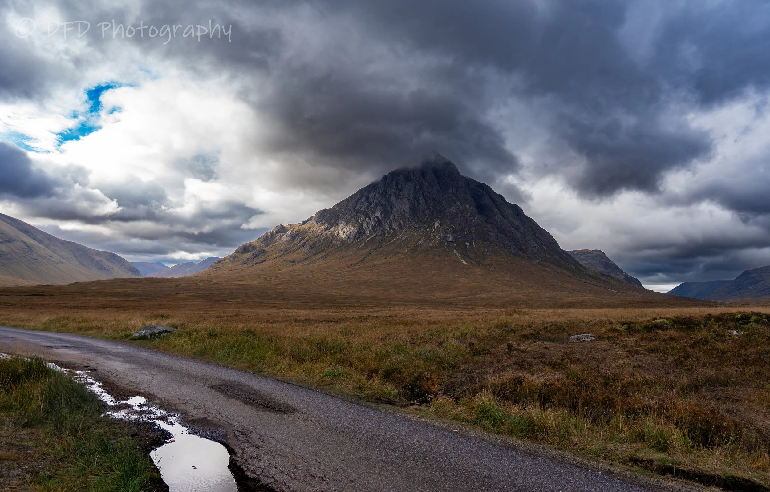 shephardoftheglen-1.jpg