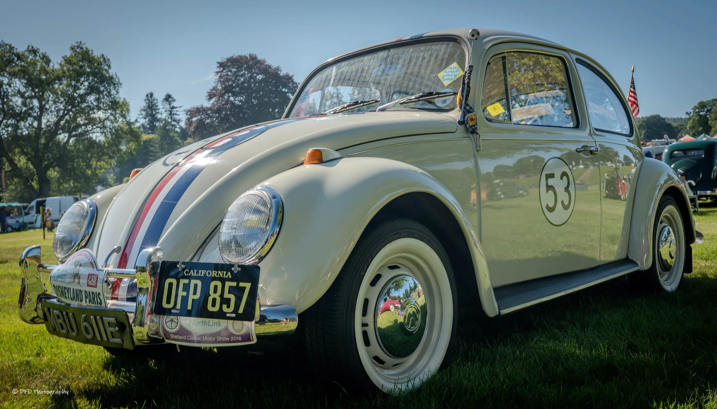 hERBIE-3.jpg