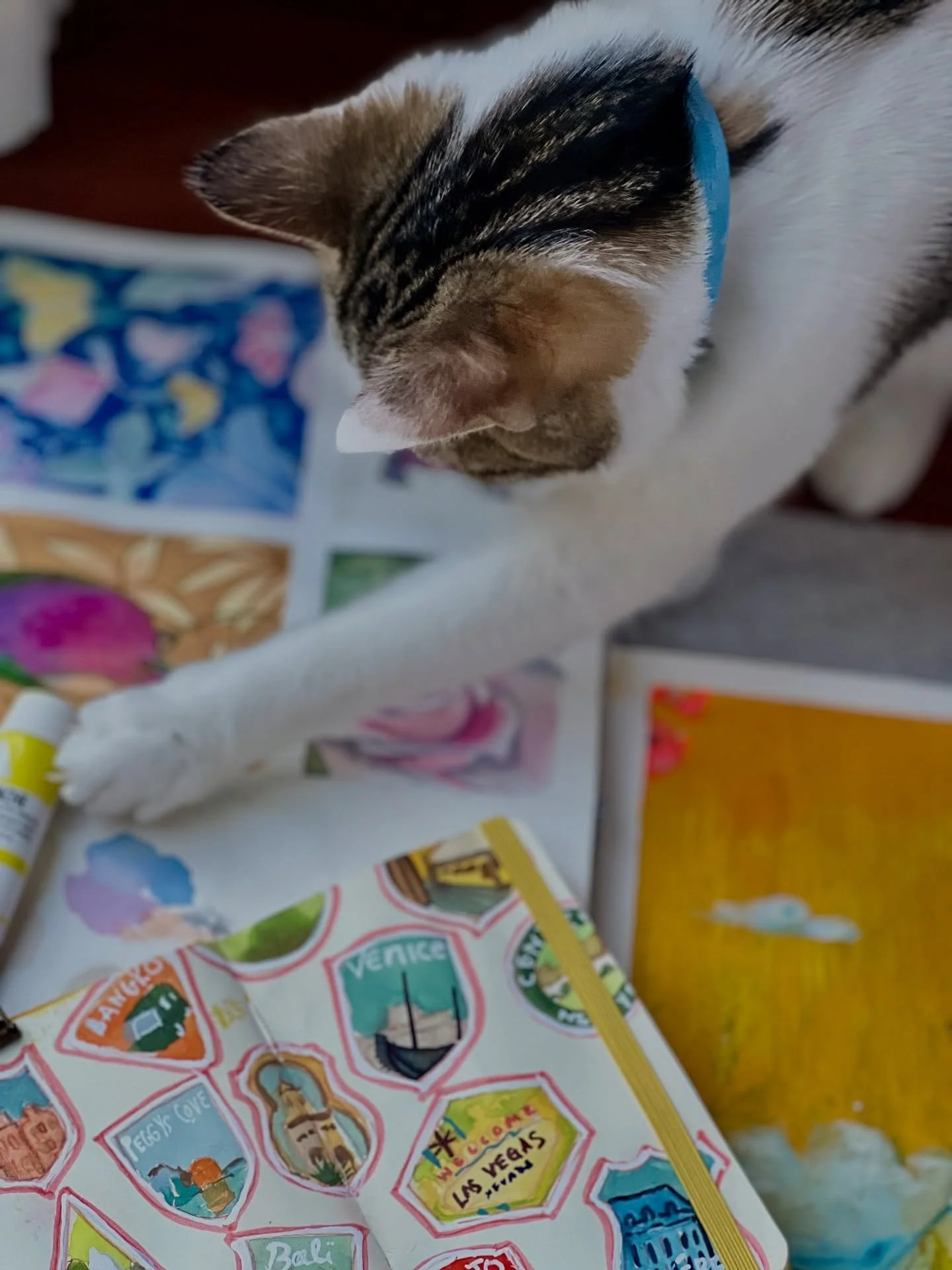 My &ldquo;studio assistant&rdquo; Mia is a big help when it comes to photographing layouts. She&rsquo;s a stickler for details 😂 Apparently, I always put the paint tubes in the wrong place. 

All this to say, my latest blog is out and I am talking a