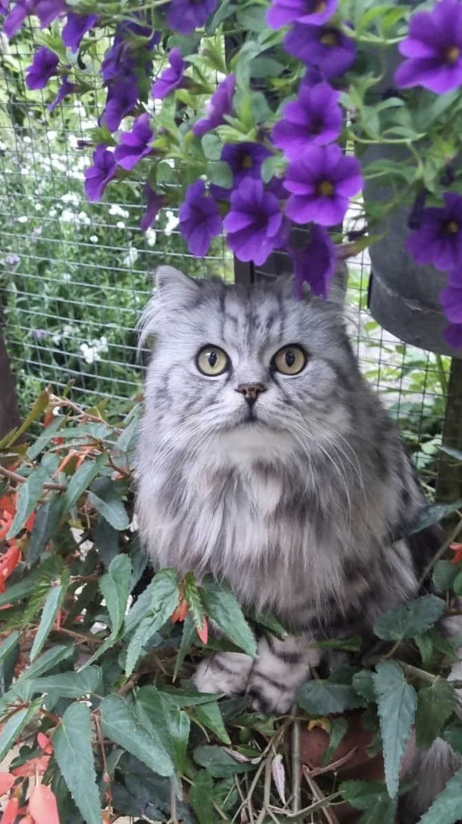 ShedArt and Garden Summer Kick-off