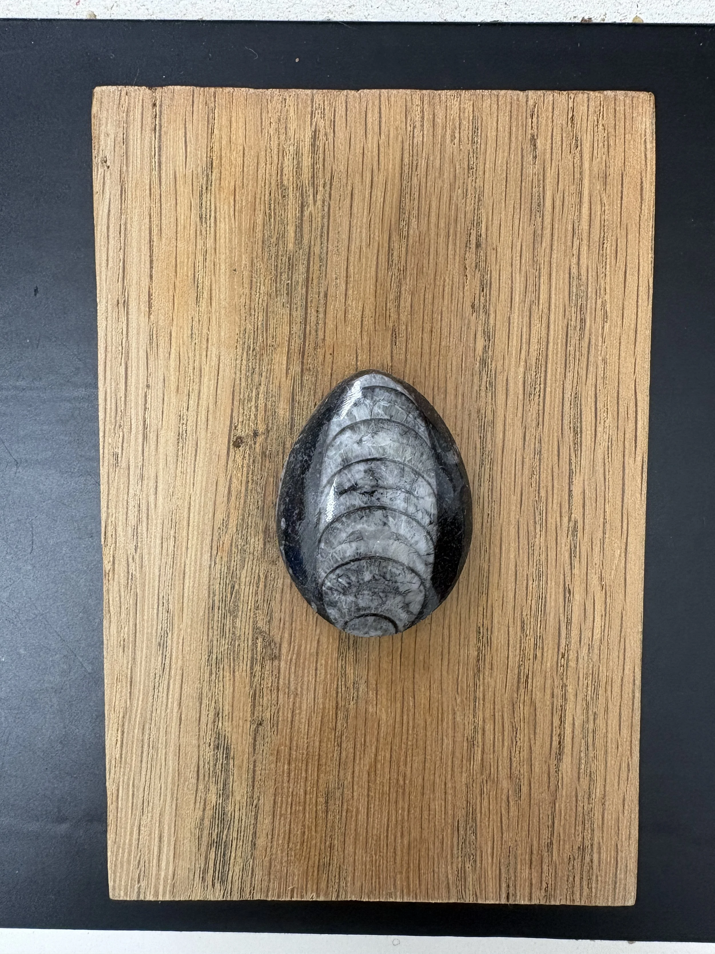 am 130 x 85  amo40.JPG