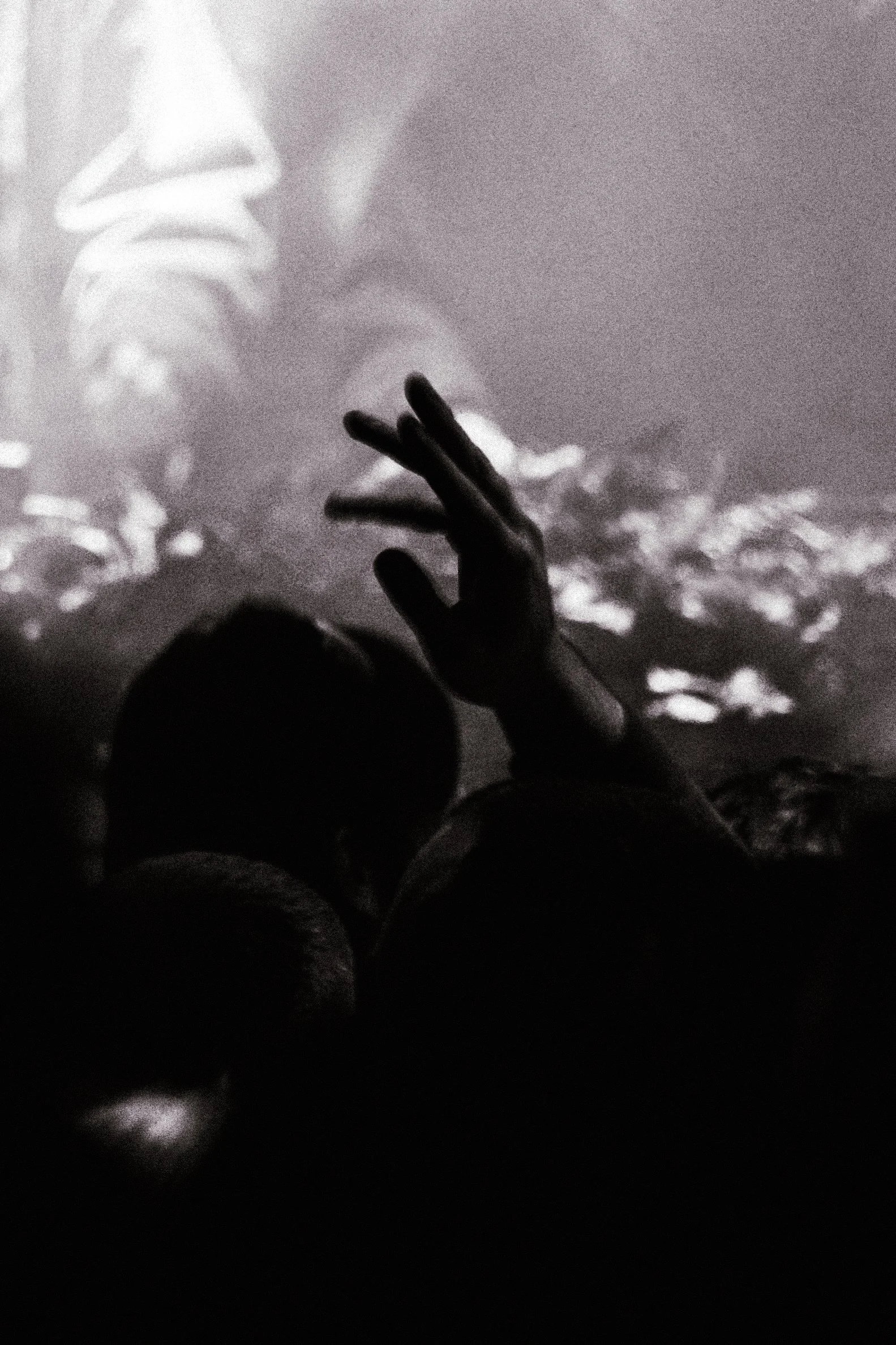 Under The Palms - Winter Party-1291.jpg