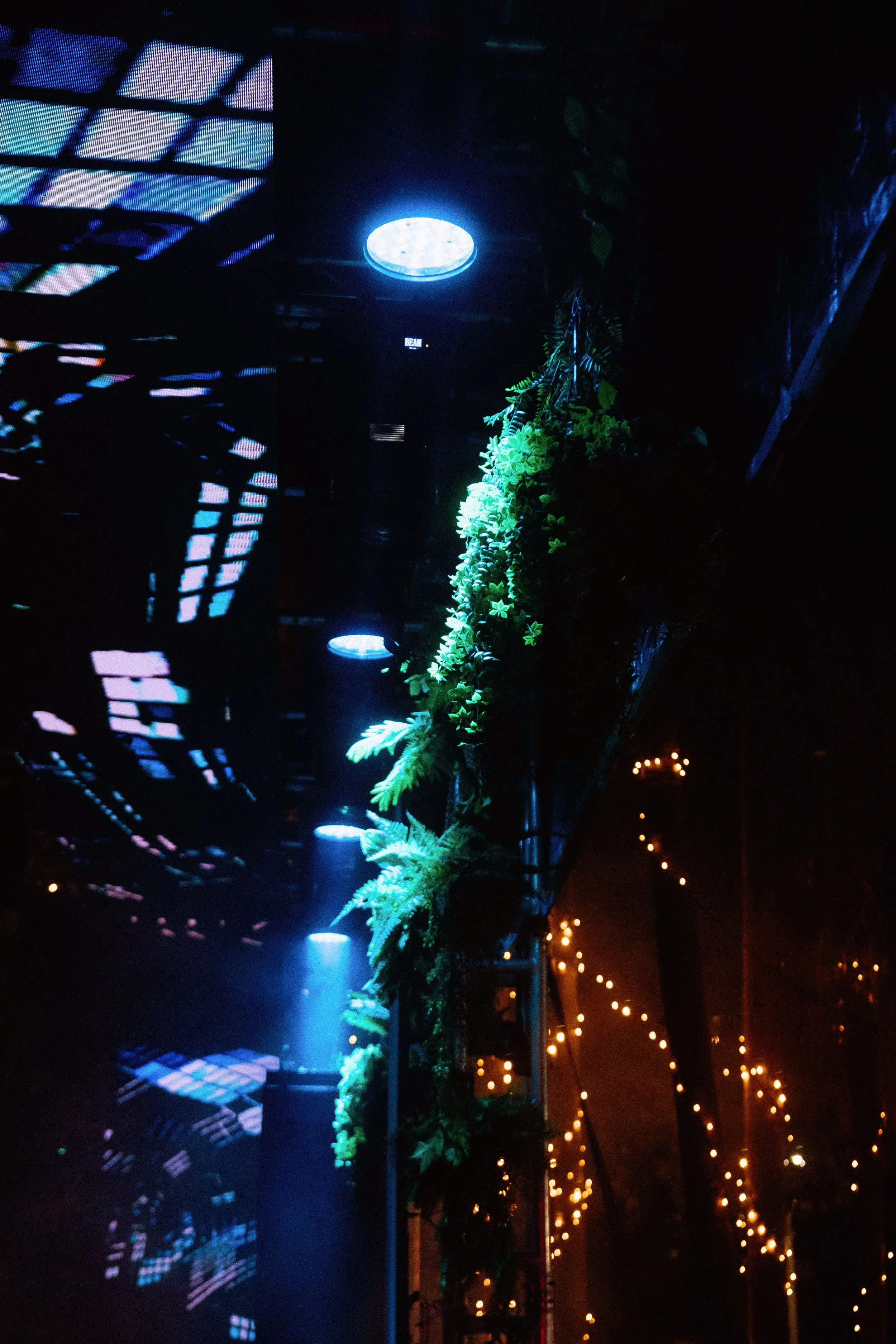 Under The Palms - Winter Party-1354.jpg