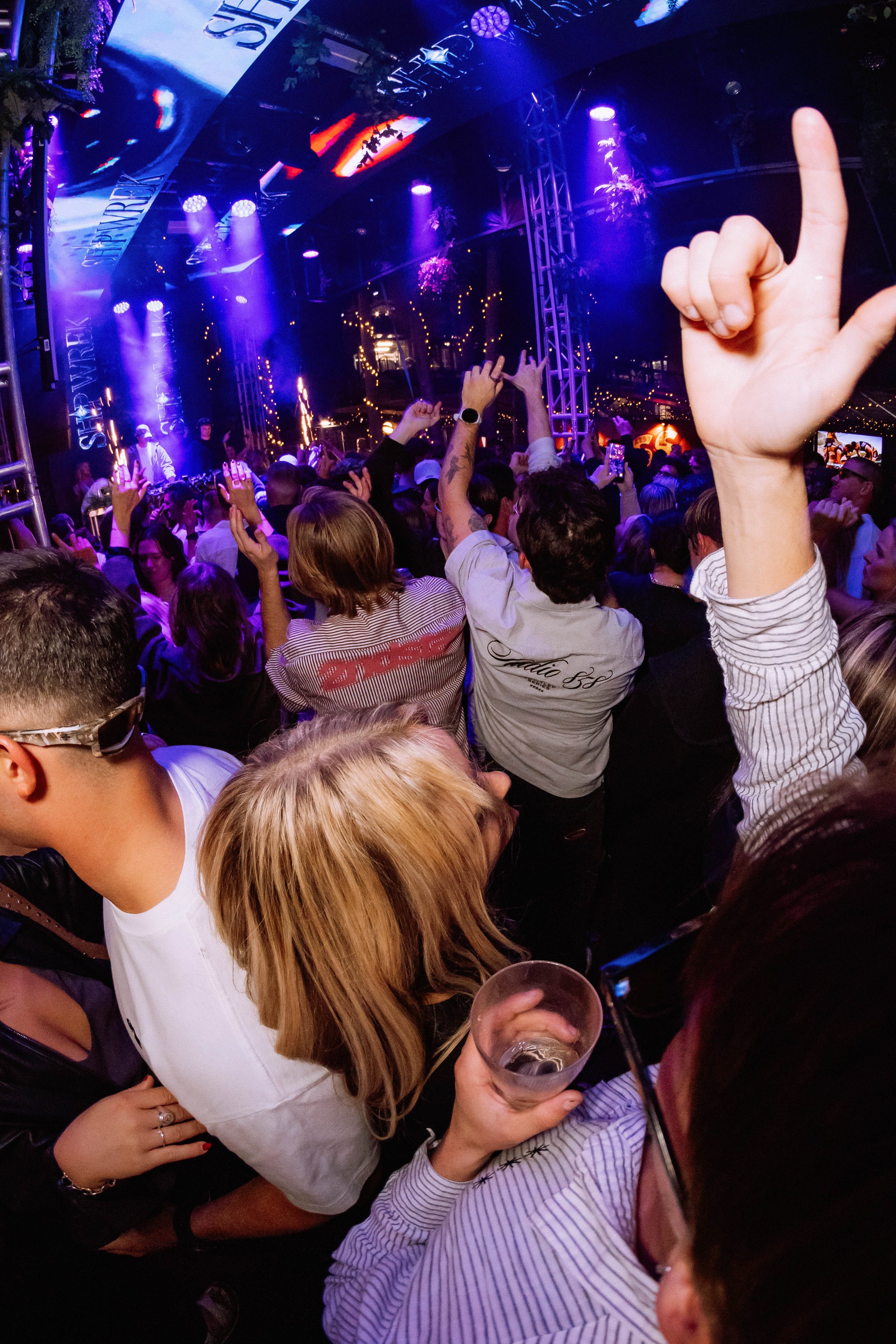 Under The Palms - Winter Party-1262.jpg