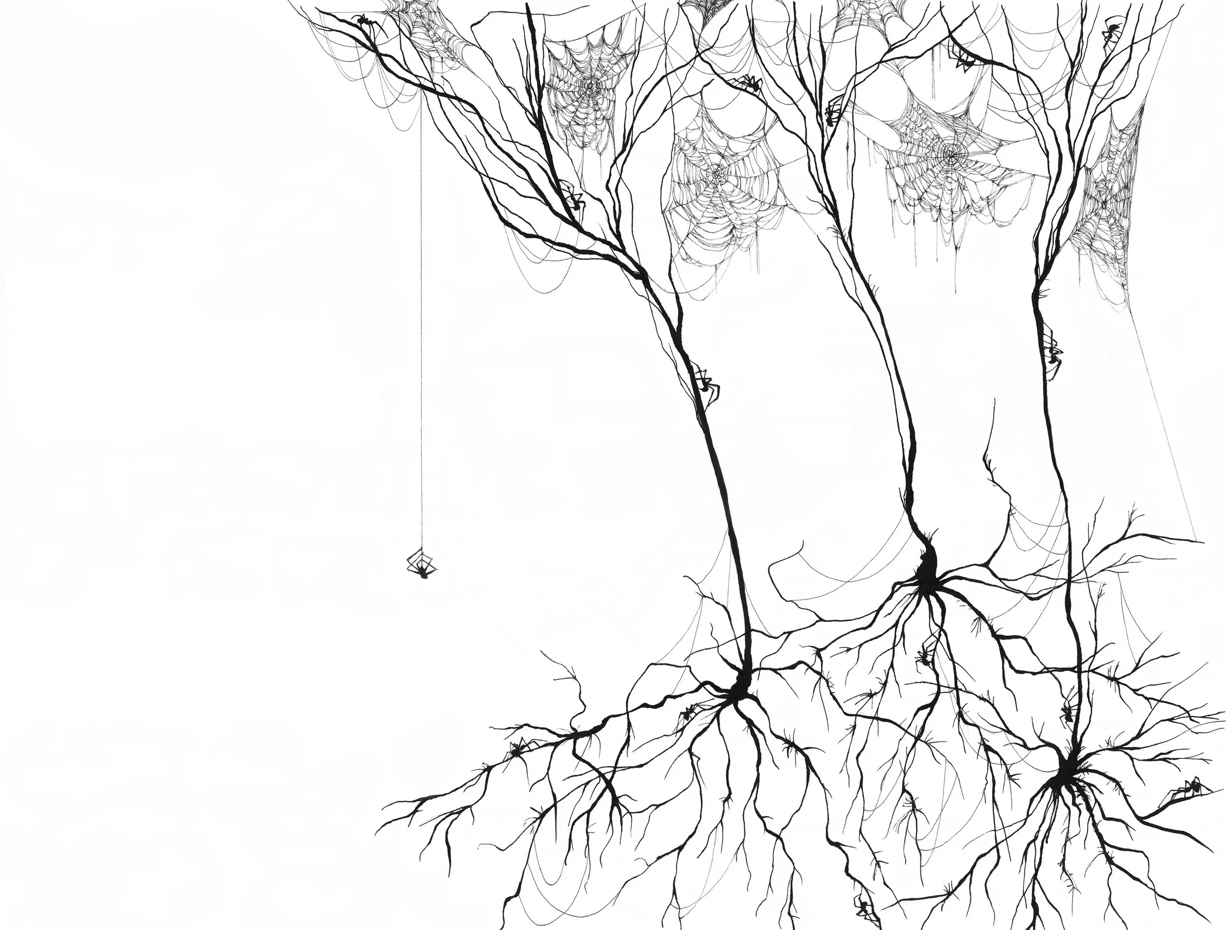 After Maman, 2026. Ink on paper.