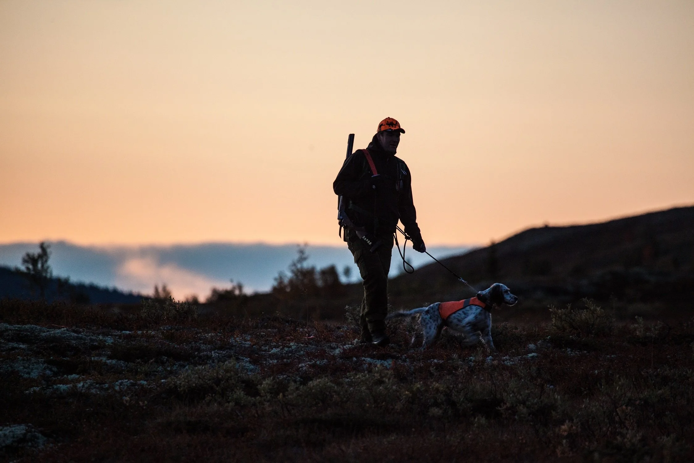 Trekning for småviltkort opner 24.april - frist 10. mai