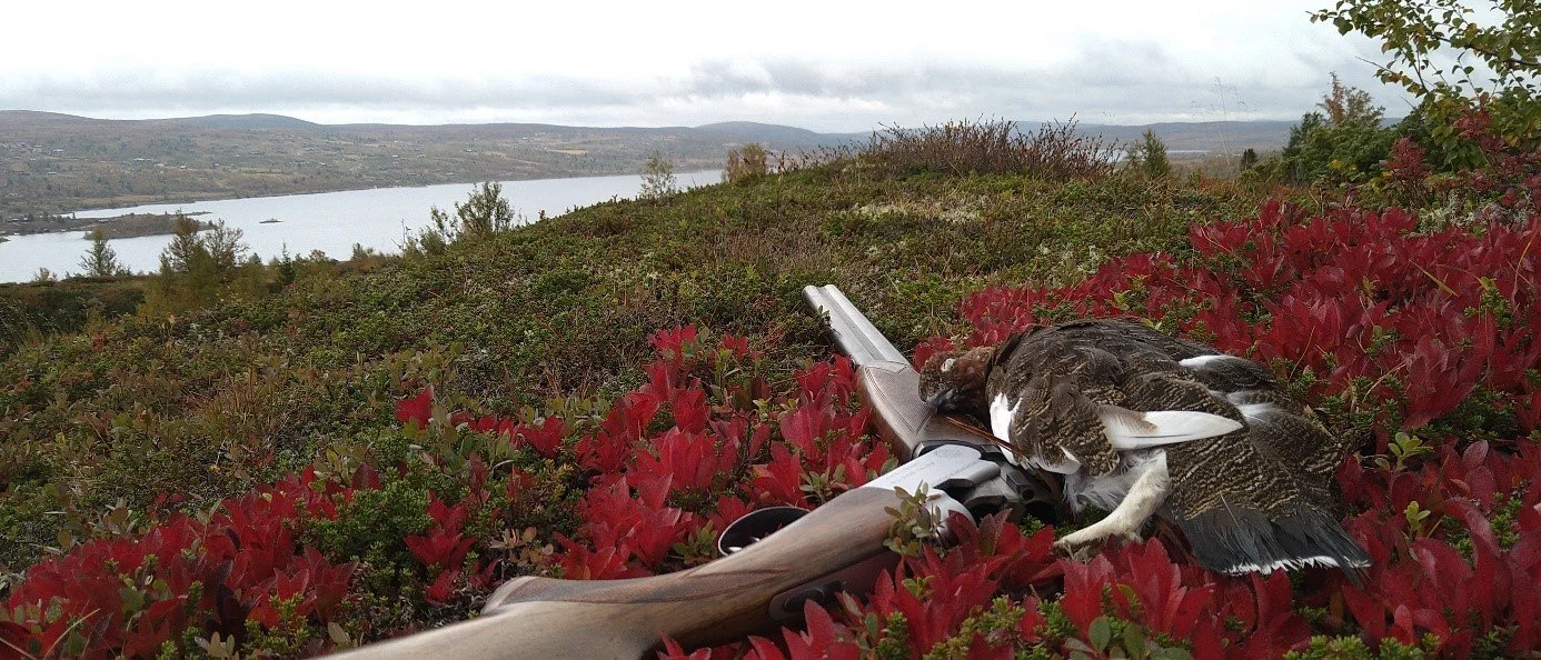 Tilskott til jegerprøven - for den som tek den utanfor Vestre Slidre i 2026