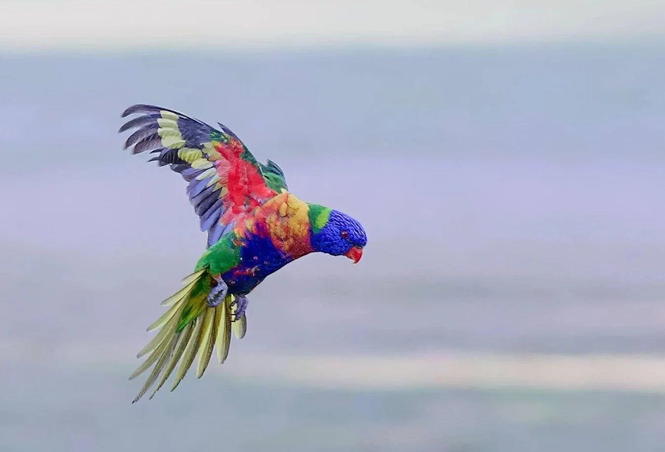 The Human Lens: Why AI Can Mimic Photography, but Cannot Replace the Photographer