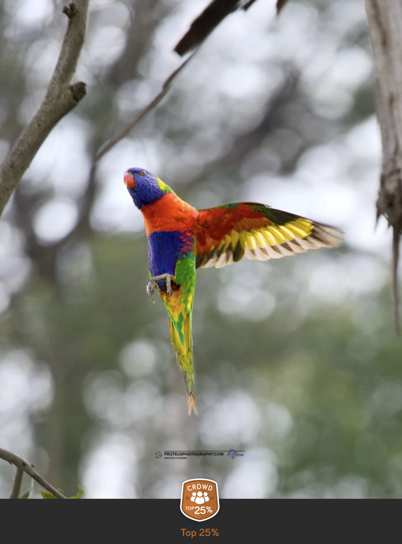 lori in flight