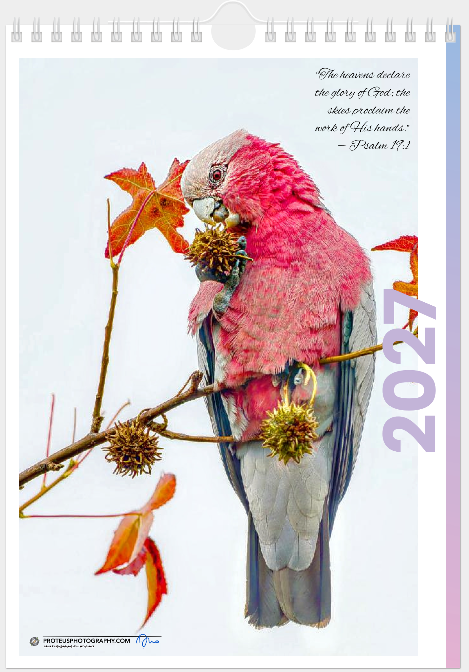 Cover  Calendar
