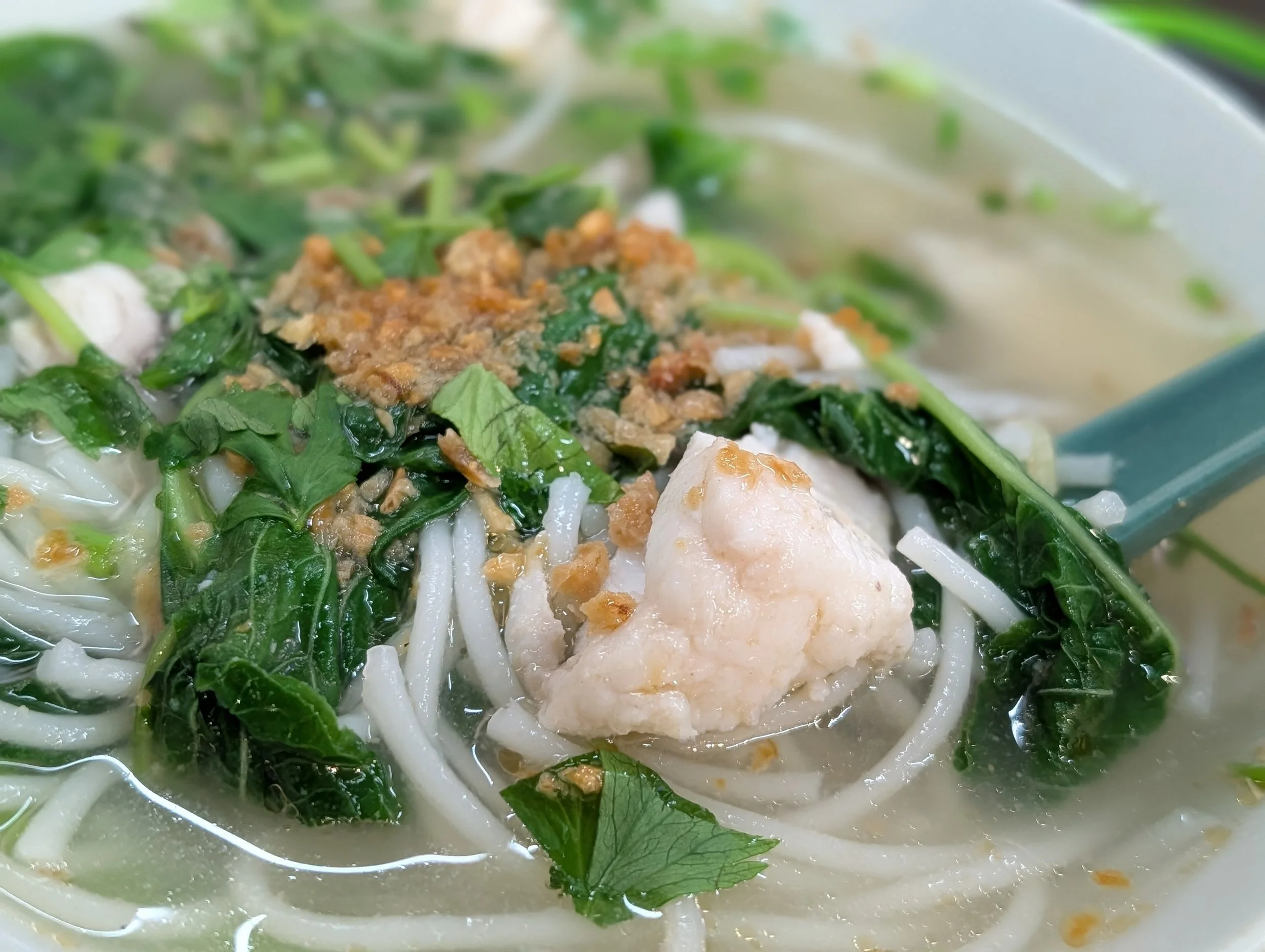 fish noodles