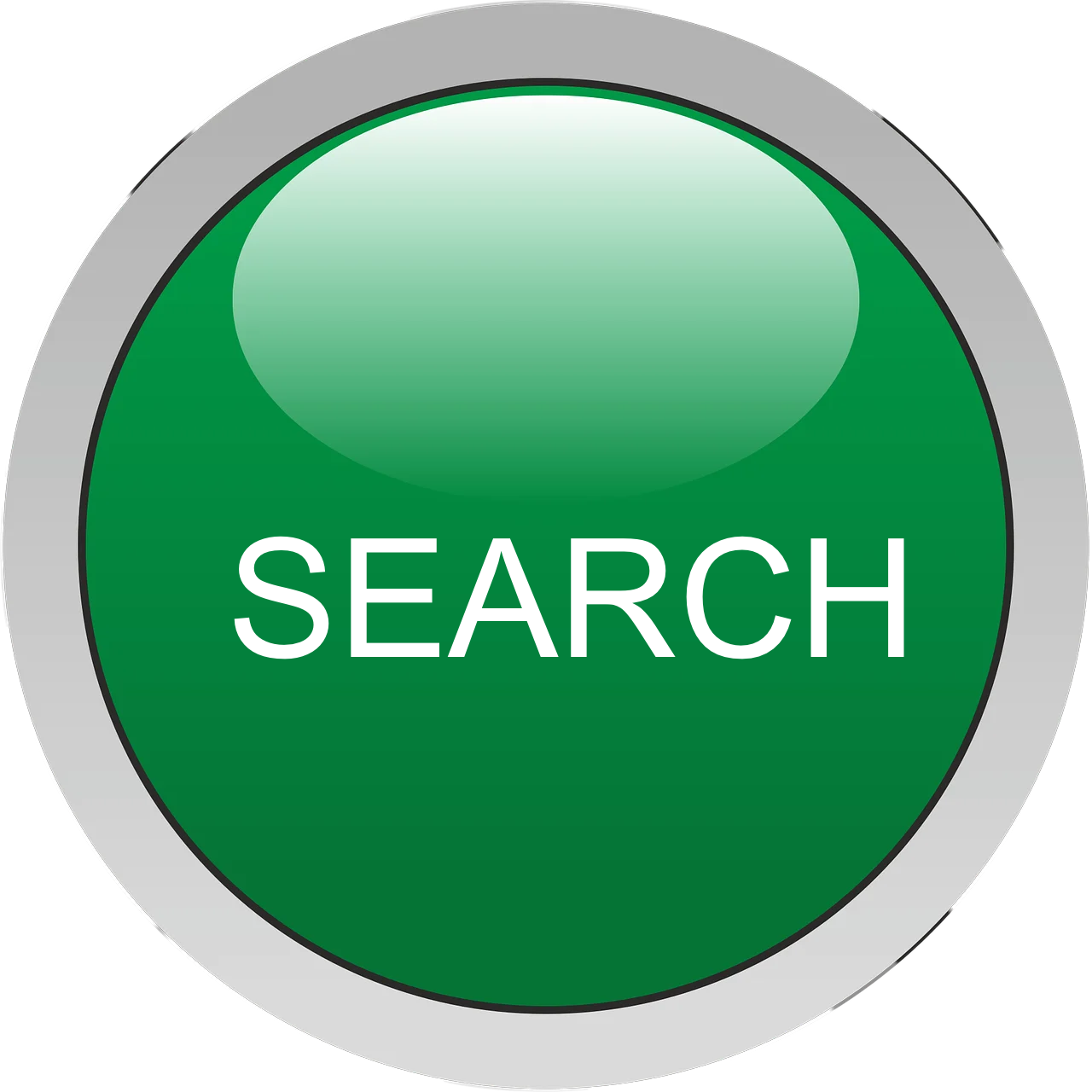 A green search button with white text, surrounded by a gray border.