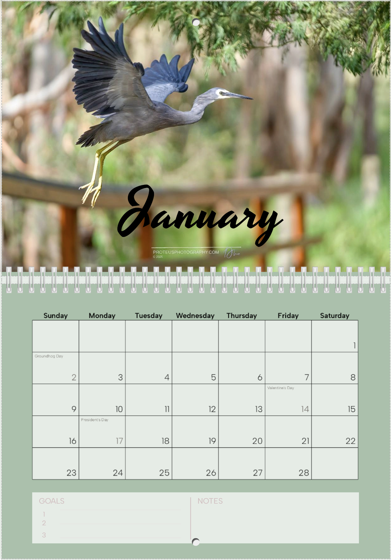 Calendar page for May 2025 with a photo of a grey heron in flight, background of greenery.
