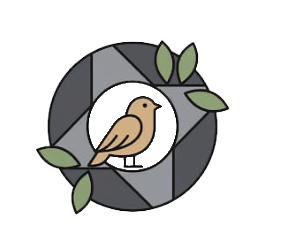 A stylized bird sitting on a branch inside a circular, ring-shaped frame with leaves.