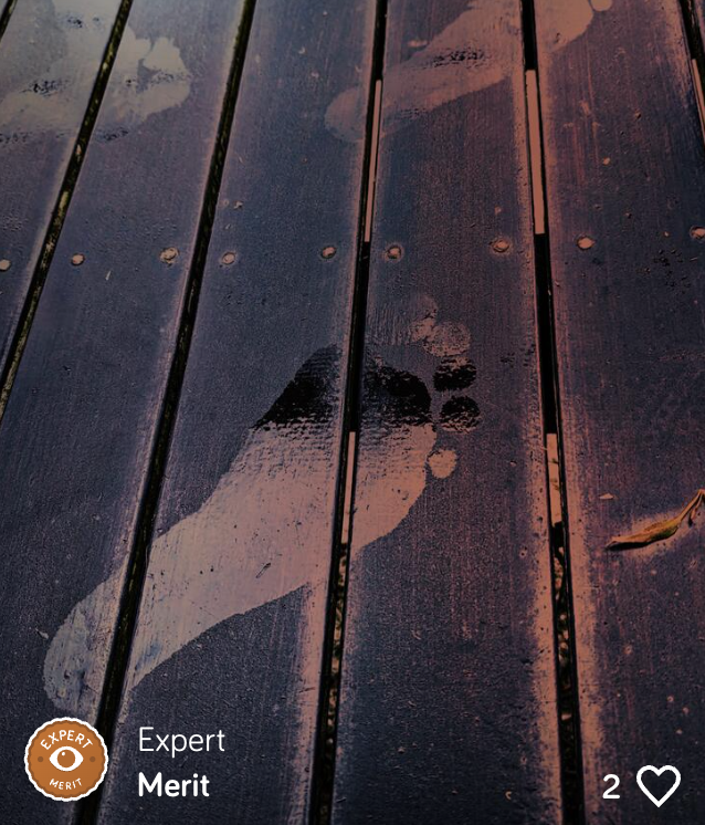 Wet footprints on wooden floorboards