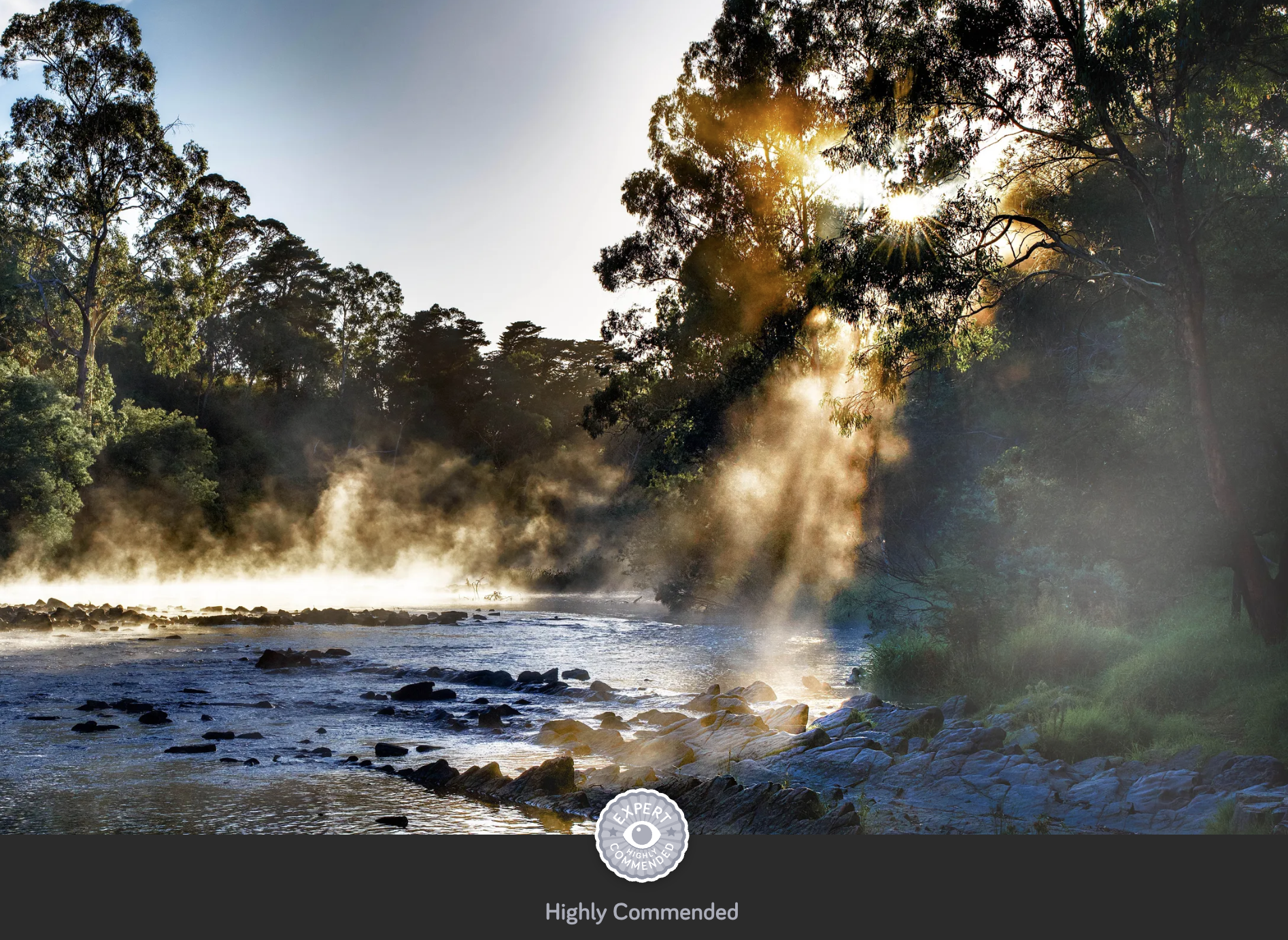 by the yarra river