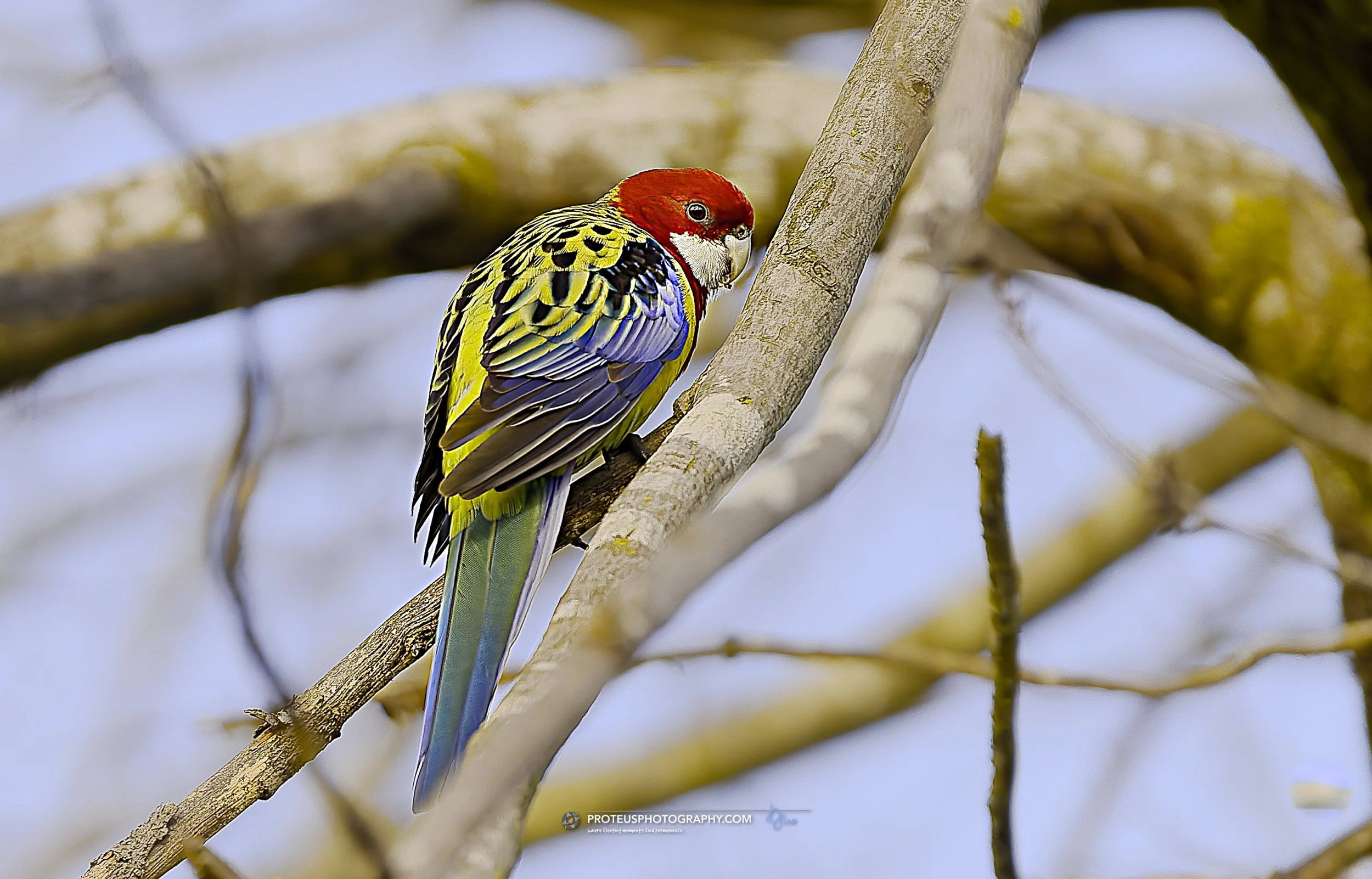 A24072026Z029x 2.jpg