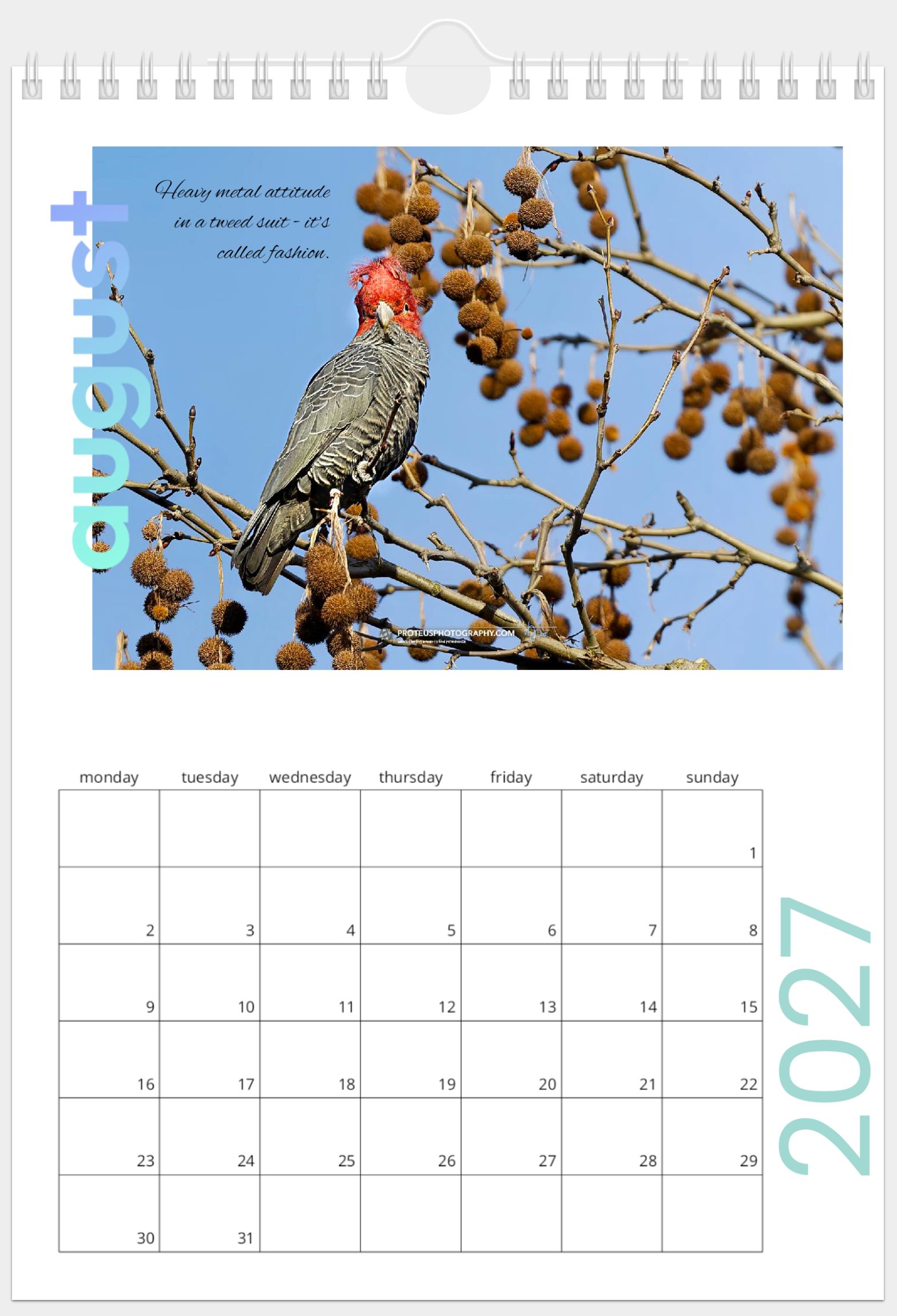 Aug Cal Page