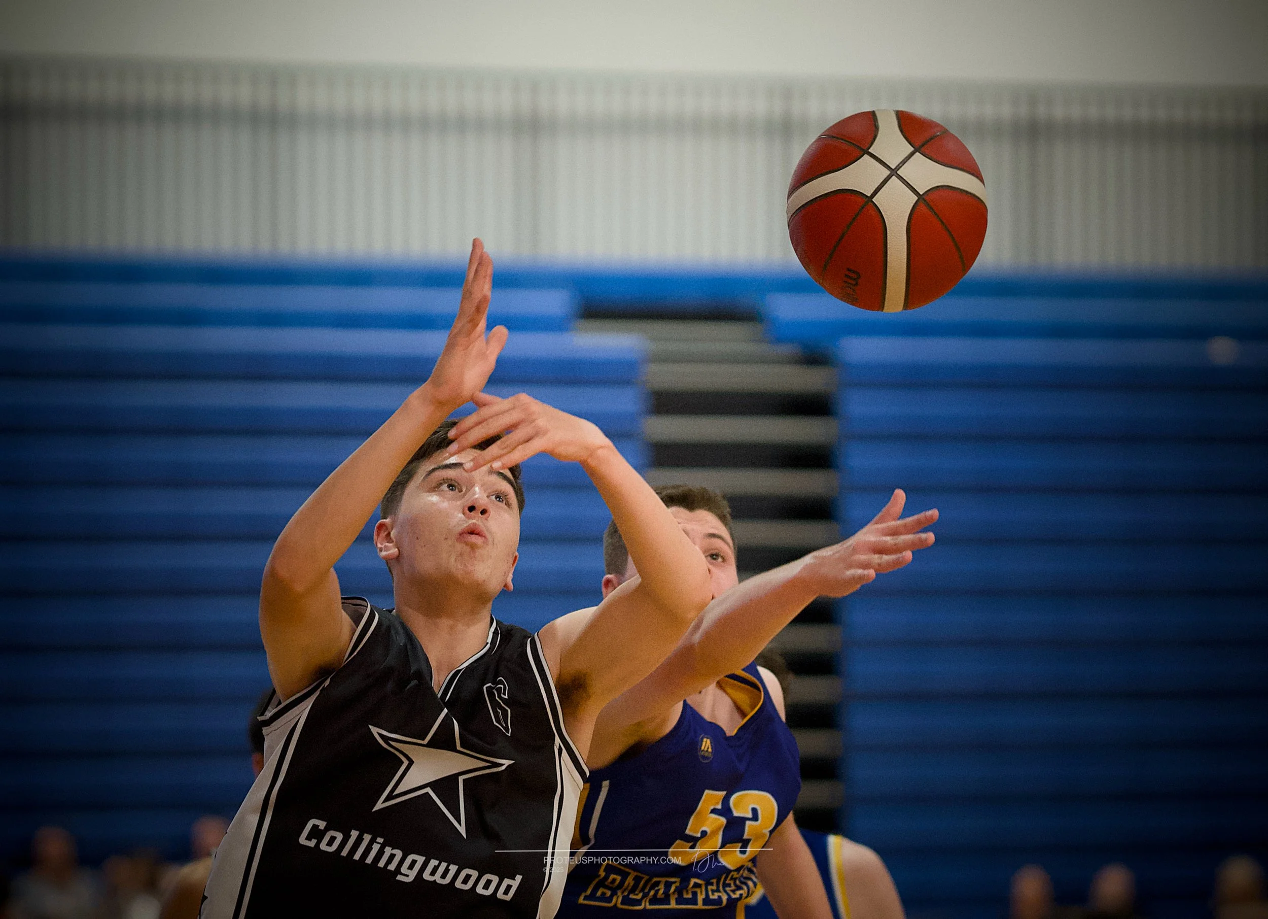 Two basketball players competing to catch the ball during a game; one player is wearing a black jersey with 'Collingwood' written on it, and the other player is in a blue and gold jersey.