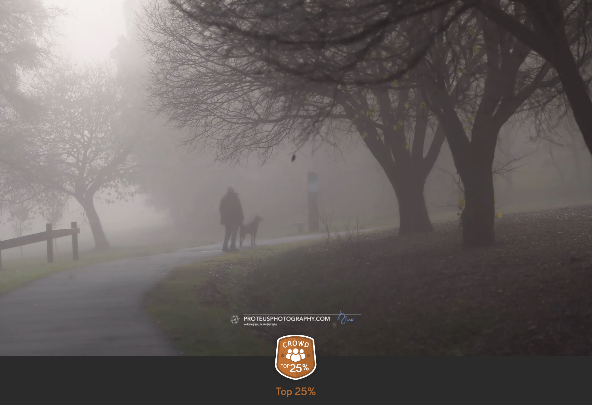 A foggy park with leafless trees lining a winding path. In the distance, a person walks a dog along the path.