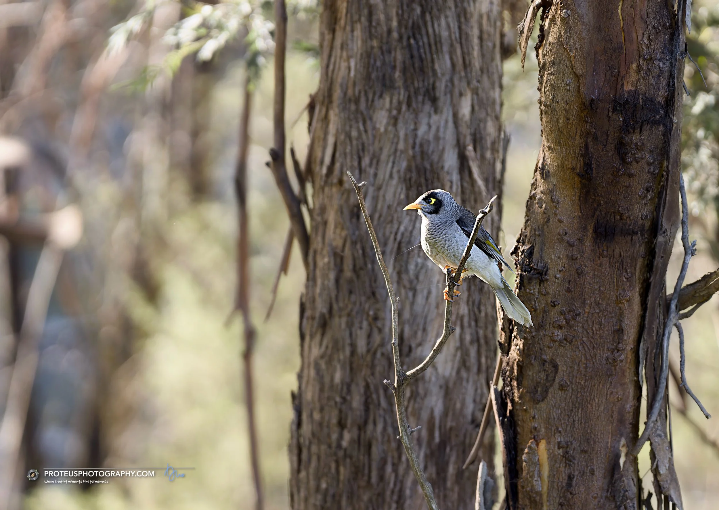 just hangin' mate!