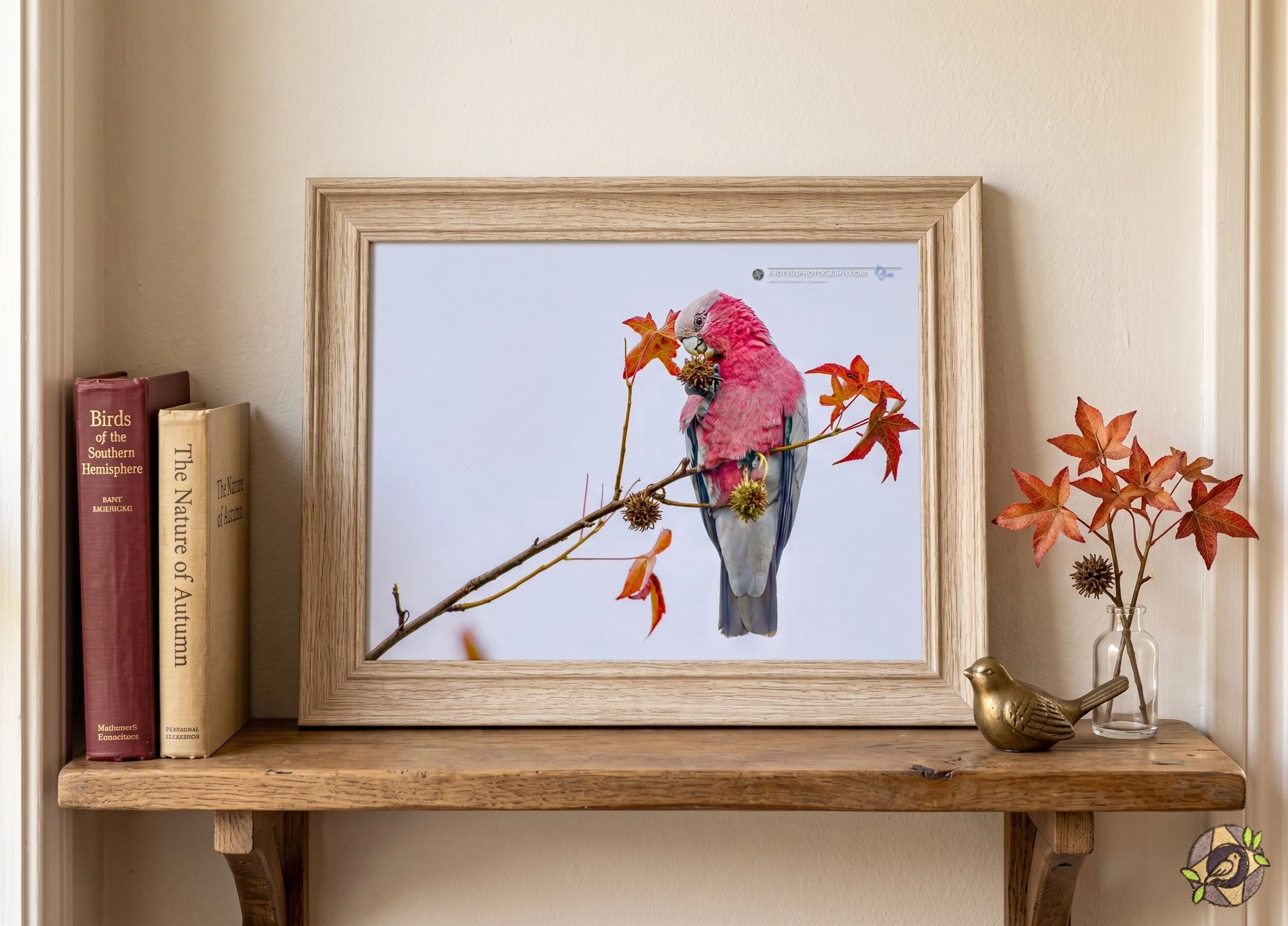 Decorative wall shelf with framed bird illustration and books, plants, and a brass bird figurine.