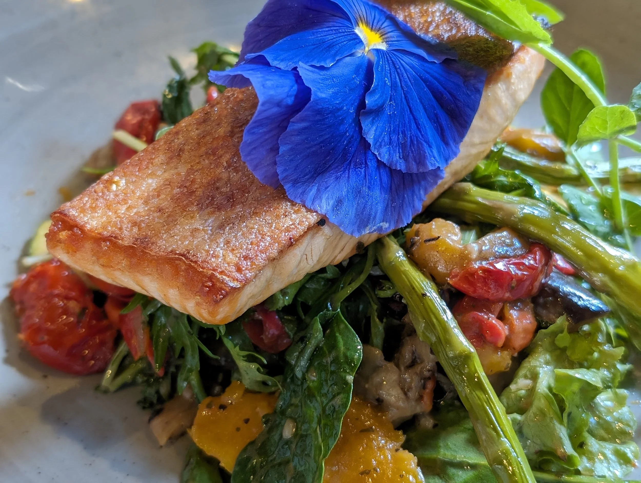 A plated dish with a piece of seared fish topped with a blue edible flower, served on a bed of mixed greens and roasted cherry tomatoes.