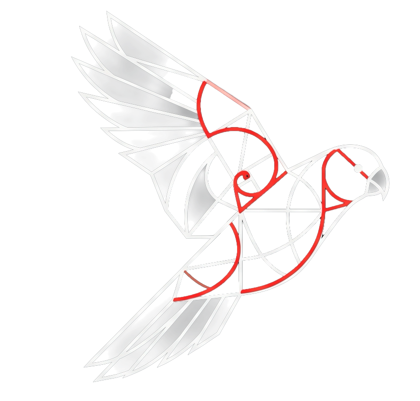 Stylized geometric illustration of a bird in flight, with detailed feathers and a streamlined body, featuring red, white, and black outlines.