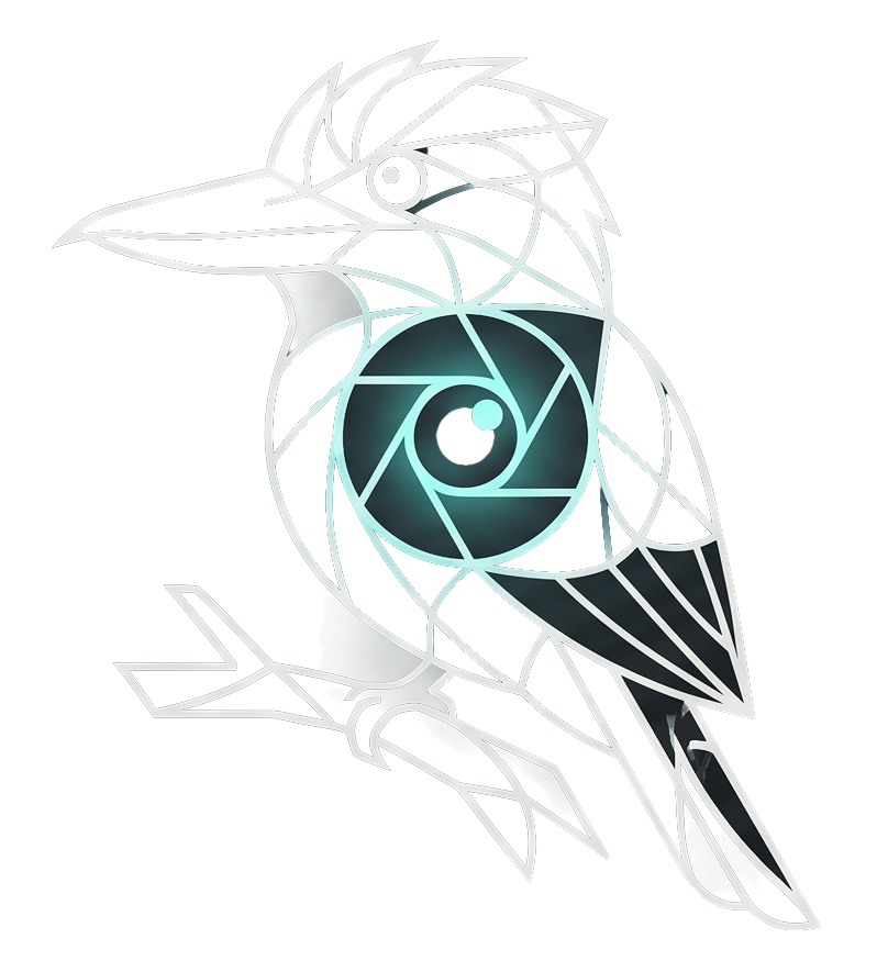 Futuristic, outline-style illustration of a bird, possibly a kingfisher, with a glowing cyan circular element on its body, set against a black background.