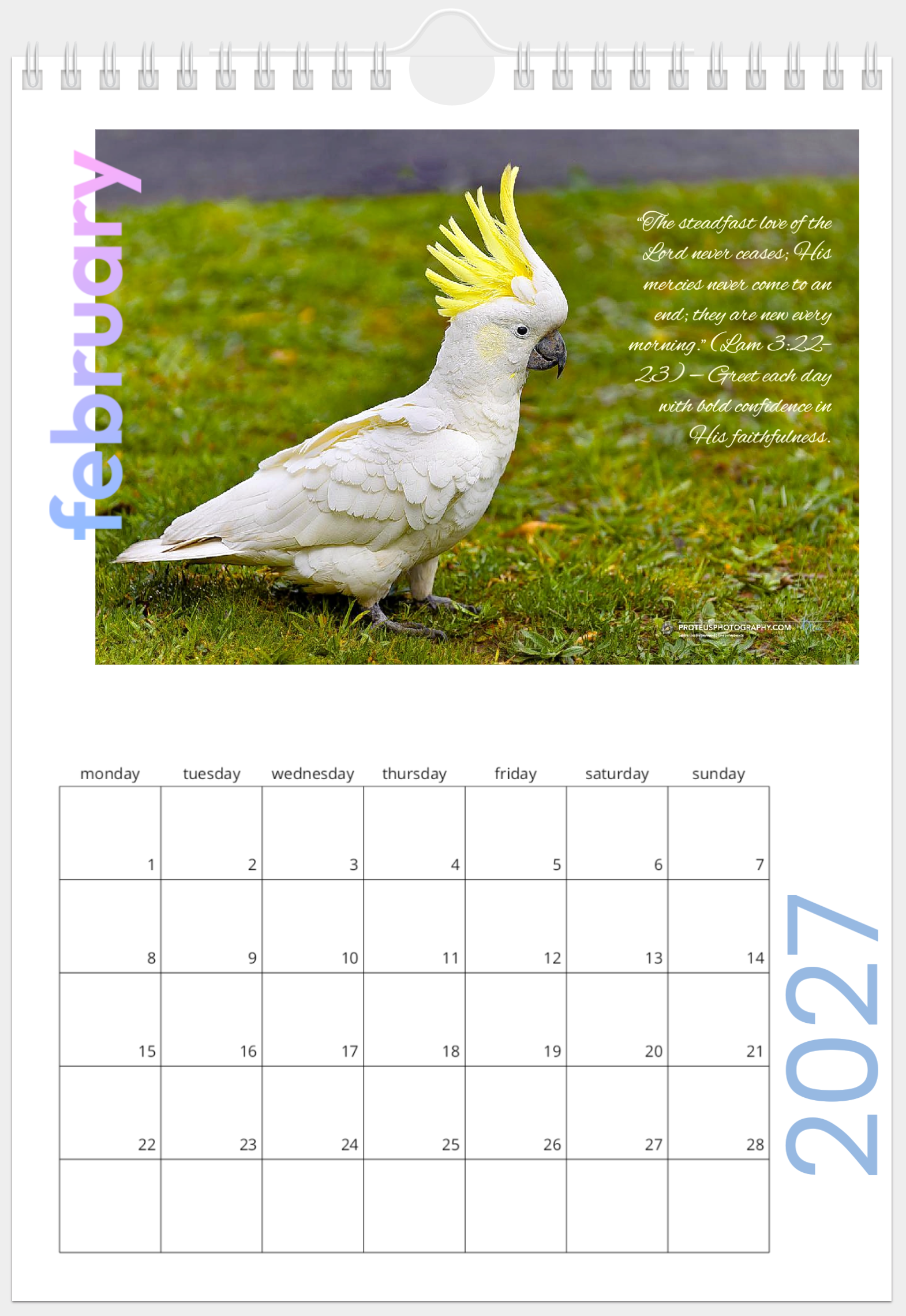 Feb  Calendar