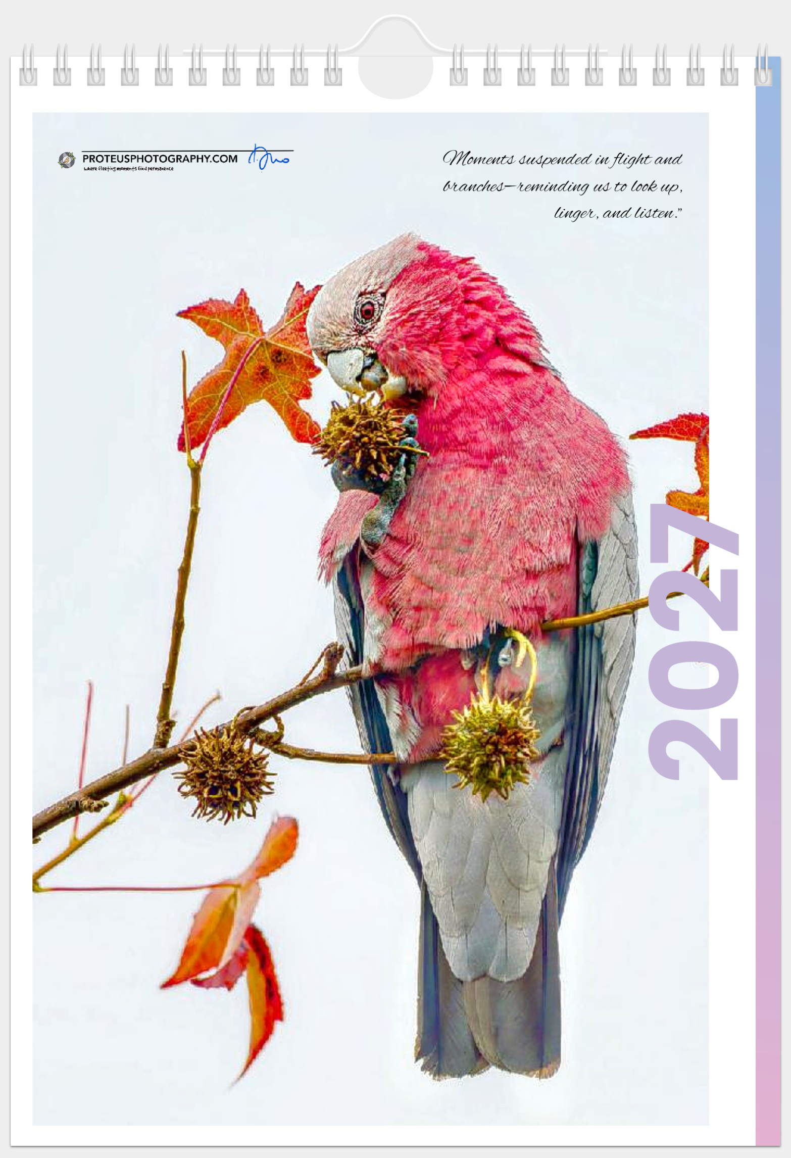 Cover Cal Page