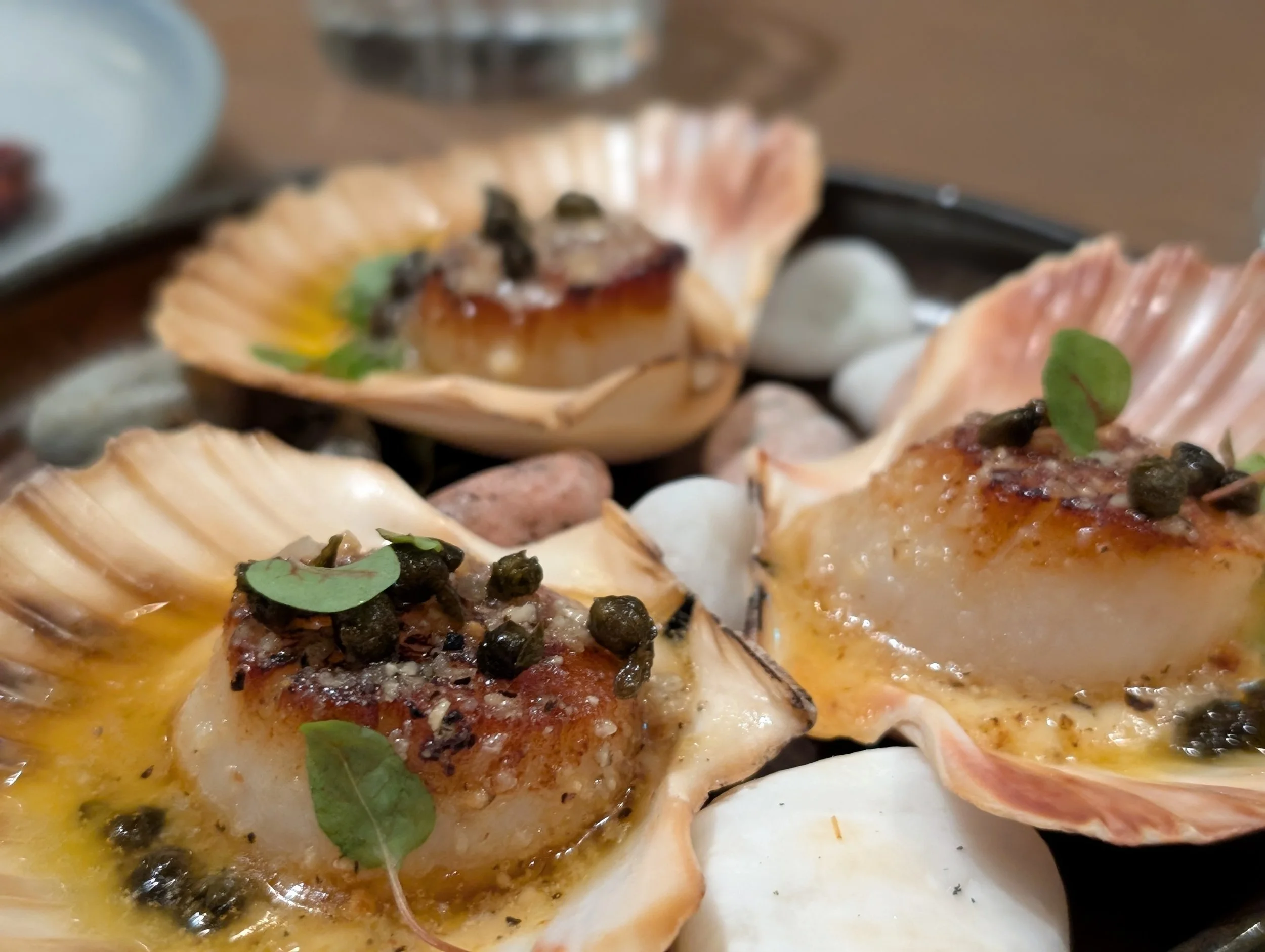 Sea scallops topped with black pepper and microgreens served on a seafood platter with shells and rocks