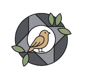 Illustration of a bird inside a circular design with leaves