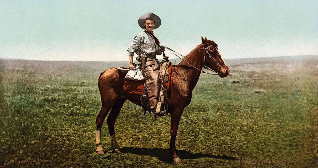 Cowboy.jpeg