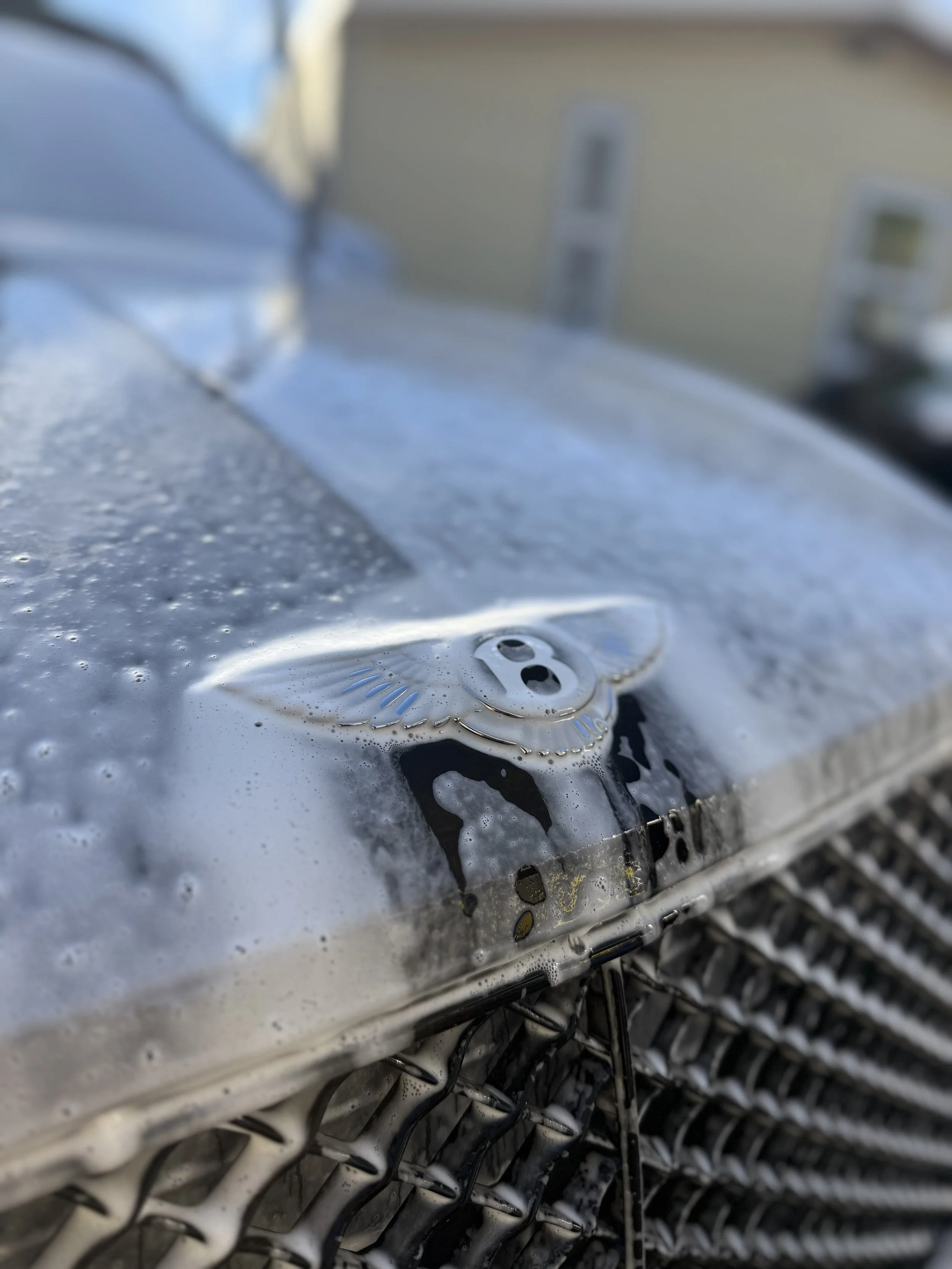 Mobile Detailing Near Me.jpeg