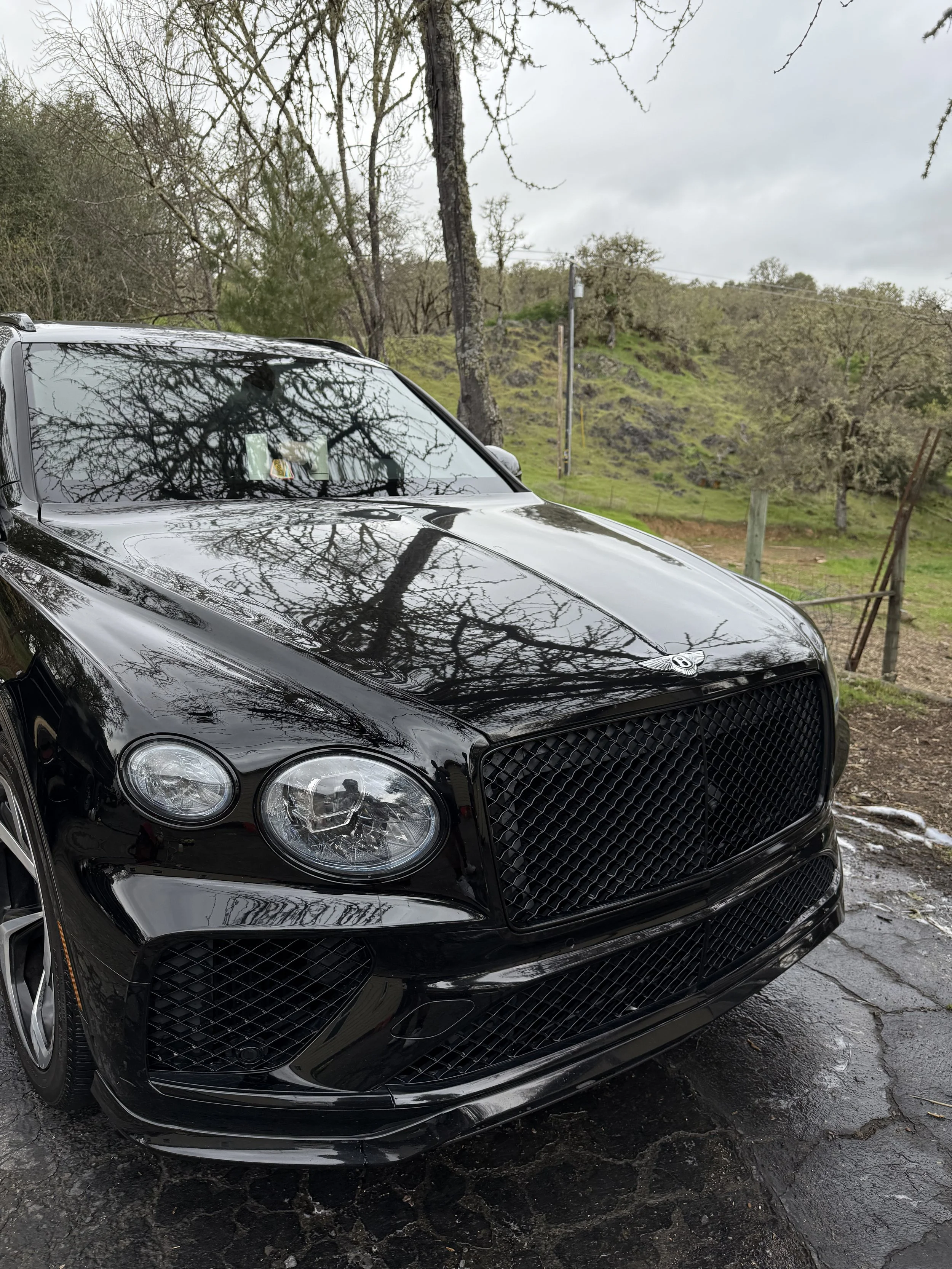 Mobile Detailing, Detailing, Detailing near me, 