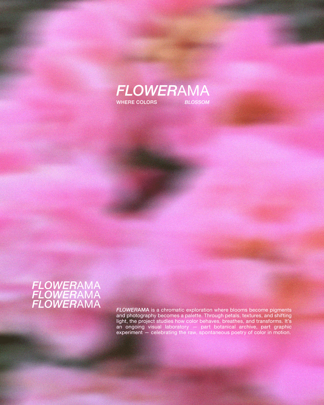 FLOWERAMA_12-min.png