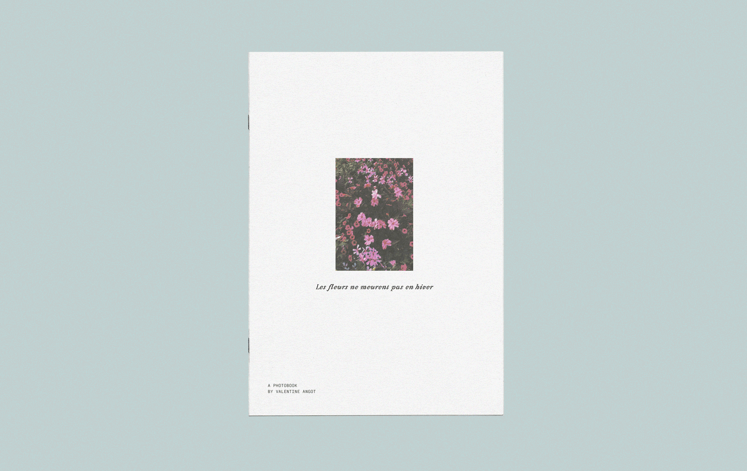 Couverture d'un livre de photographie avec une image de fleurs oranges et roses, et le texte 'Les fleurs ne mourront pas en hiver'