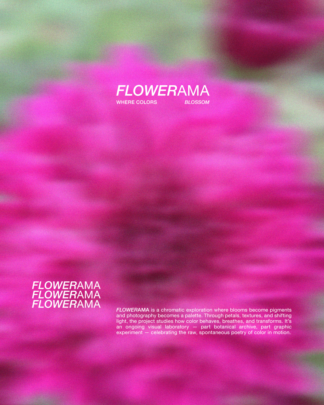 FLOWERAMA_13-min.png