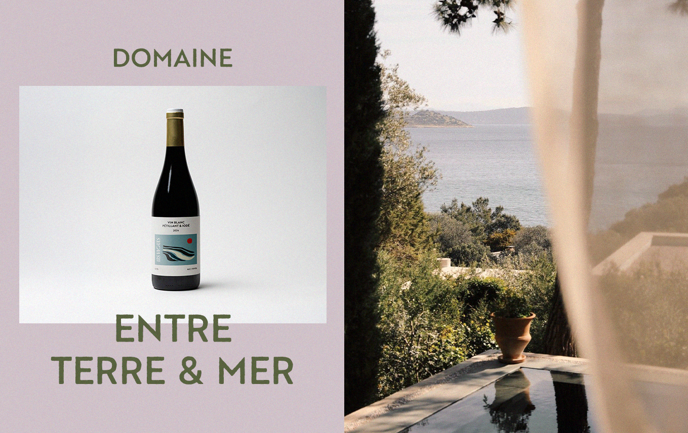 Une bouteille de vin blanc avec une étiquette bleue, sur fond blanc à gauche. Sur la droite, une vue panoramique d'une mer avec des arbres et un ciel clair, prise à travers une fenêtre ou une voile légère. Texte en français: "Domaine entre Terre & Mer".