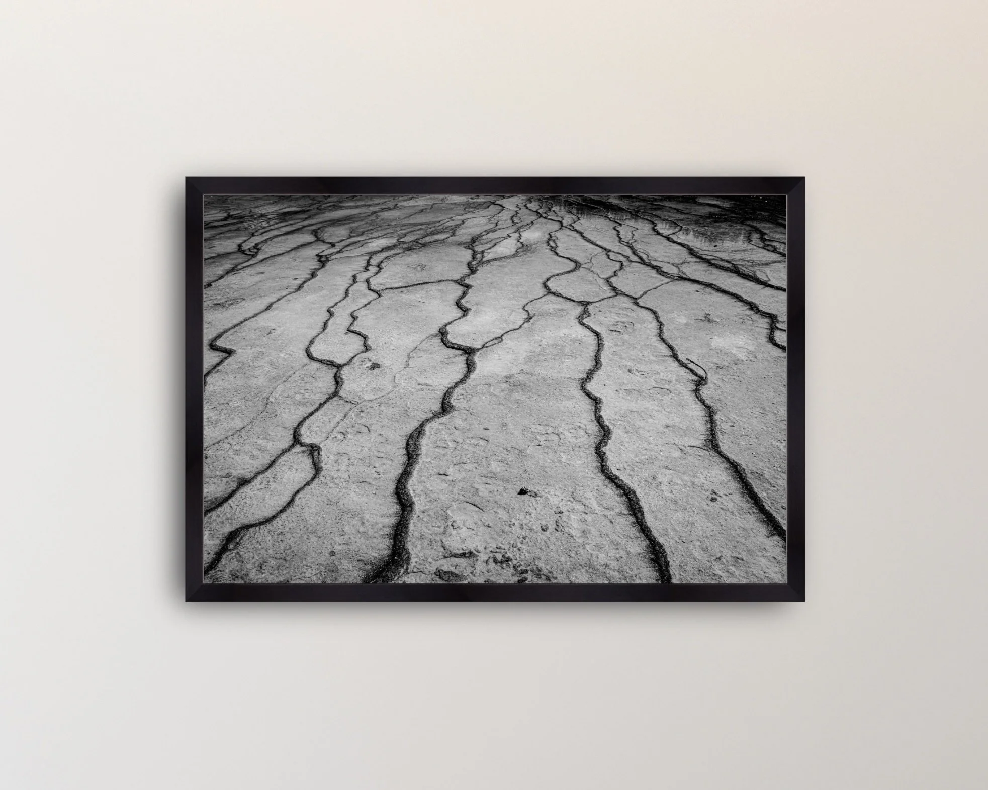 Image 2-12-26 at 9.43 PM.jpeg