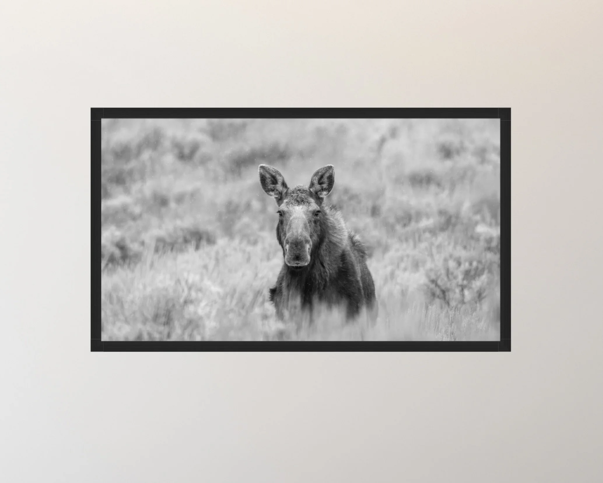 Screenshot 2026-03-27 at 3.50.46 PM.jpeg