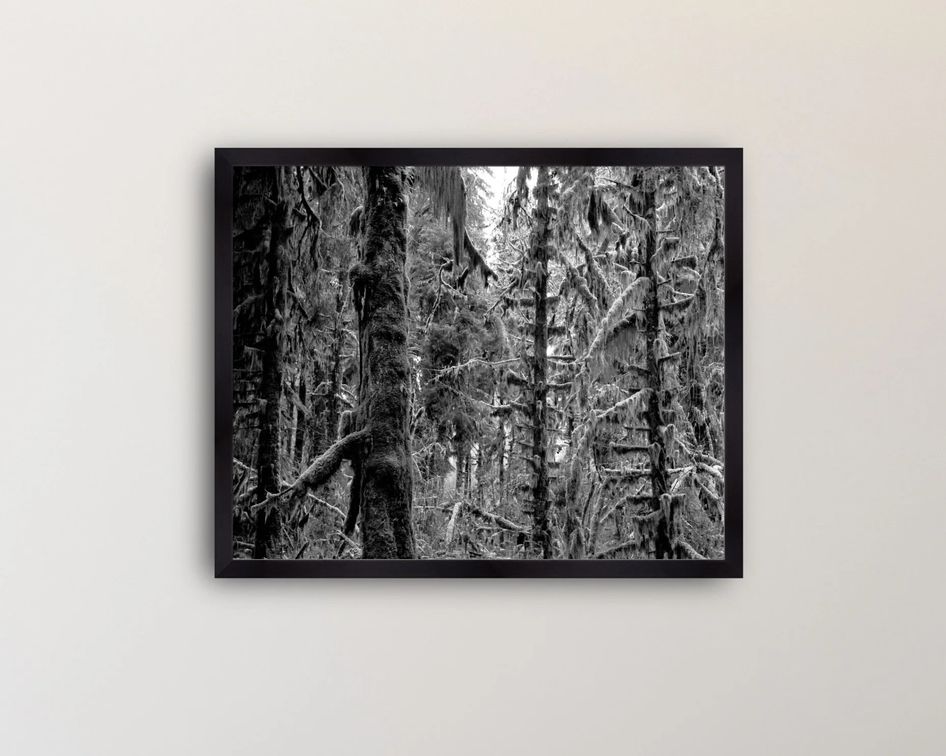 Image 2-12-26 at 8.47 PM.jpeg