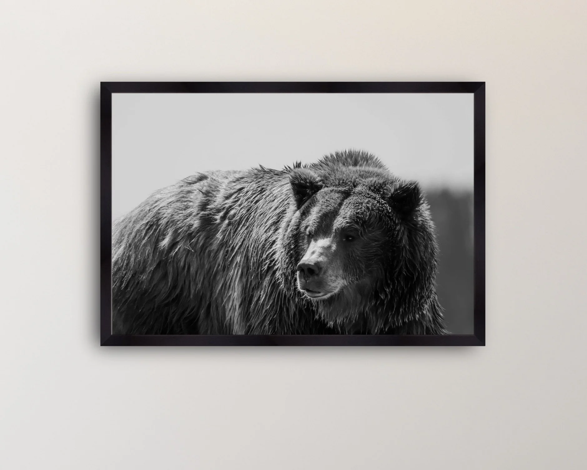 Image 2-13-26 at 5.37 PM.jpeg