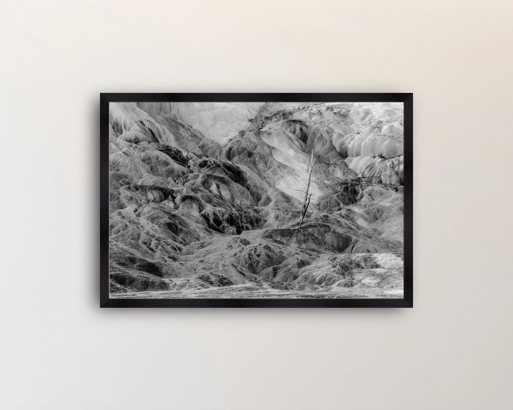 Image 2-15-26 at 4.28 PM.jpeg